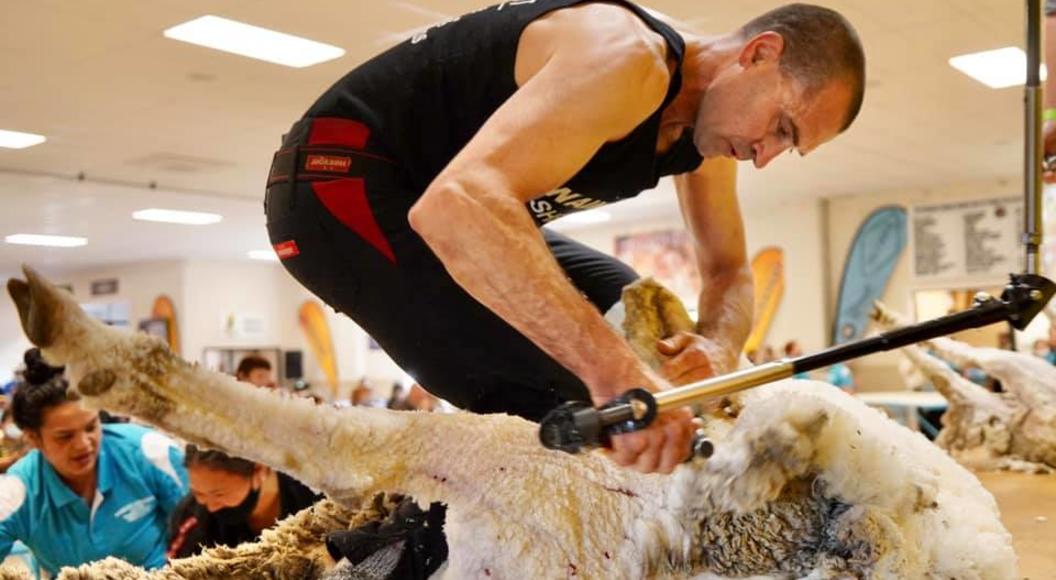 Southland shearer Nathan Stratford at Waimate in October, one of the shearers who has been able to compete in the disrupted seas and who leads both the Shearing Sports New Zealand Open shearing rankings and the PGG Wrightson Vetmed National Circuit.