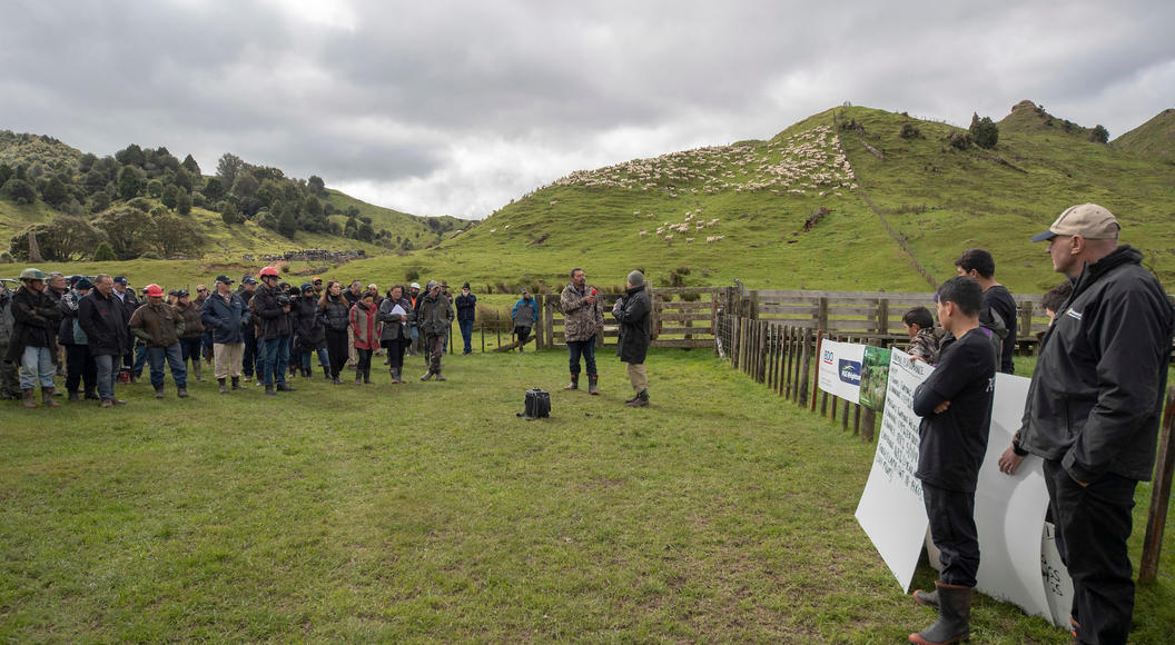 Ahuwhenua Field Day